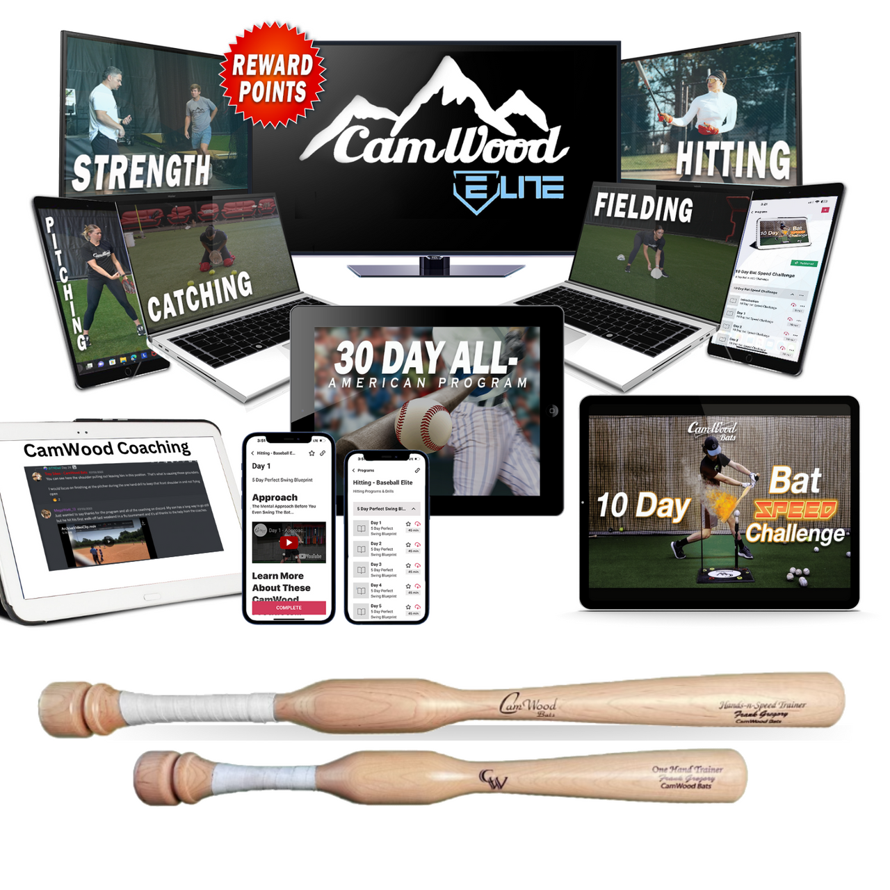 Softball All-American 30 Day Hitting Package