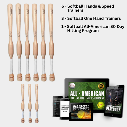 6 Softball CamWood Bats, 3 One Handers, & All-American 30 Day Program