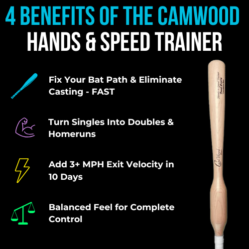 Stock Game Bat + FREE Baseball Hands & Speed Trainer