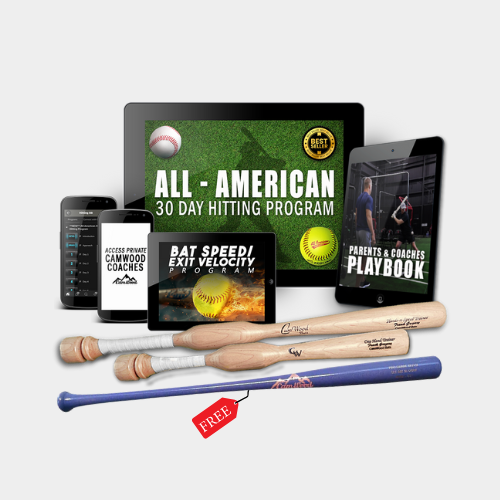Softball All-American 30 Day Hitting Package + FREE Custom AMB Bat
