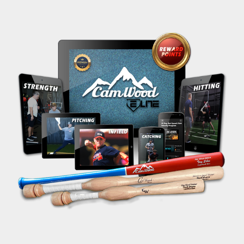 Baseball CamWood Elite (60 Days) + Hands & Speed Trainer + One Hand Trainer + Custom Game Bat