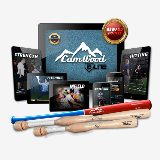 Baseball CamWood Elite (60 Days) + Hands & Speed Trainer + One Hand Trainer + Custom Game Bat
