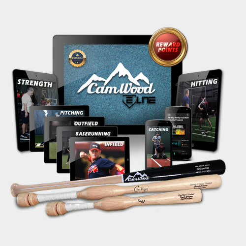 Baseball CamWood Elite (60 Days) + Hands & Speed Trainer + One Hand Trainer + Stock Game Bat