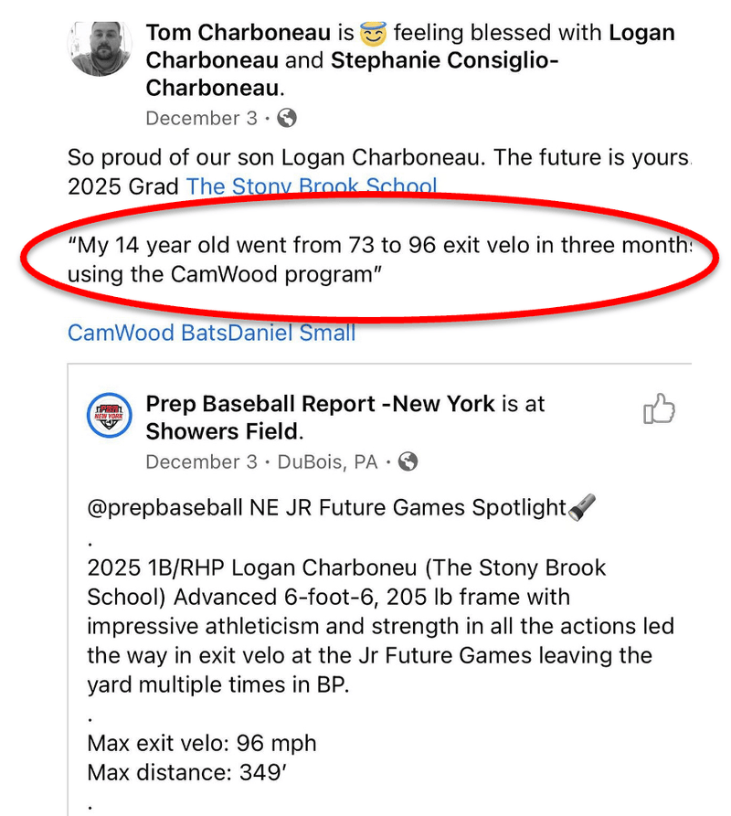 CamWood Baseball Trainer Review