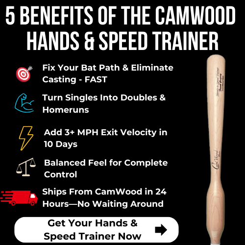 Custom Game Bat + FREE CamWood Hands & Speed Trainer