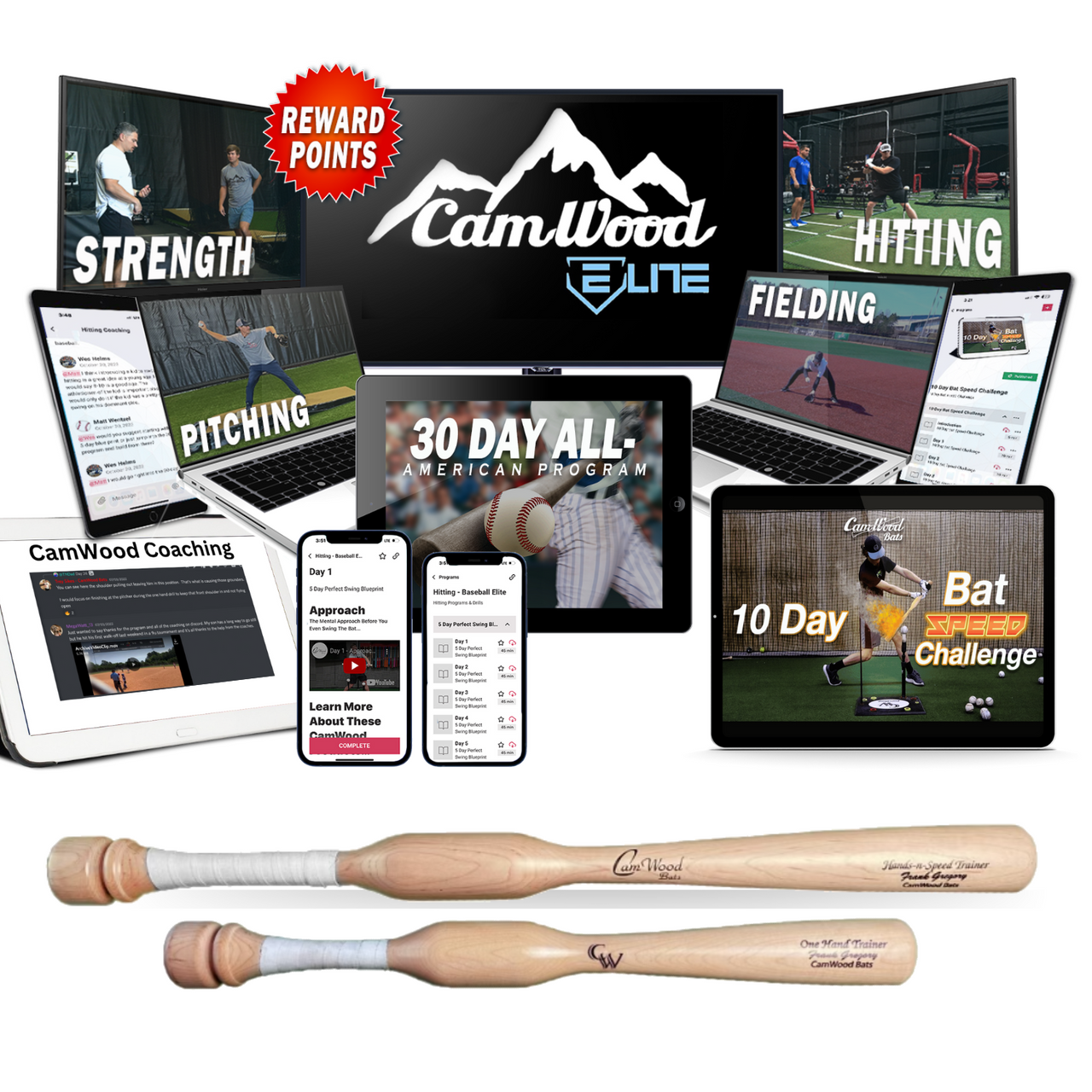 Baseball All-American 30 Day Hitting Package