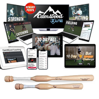 Thumbnail for Softball All-American 30 Day Hitting Package