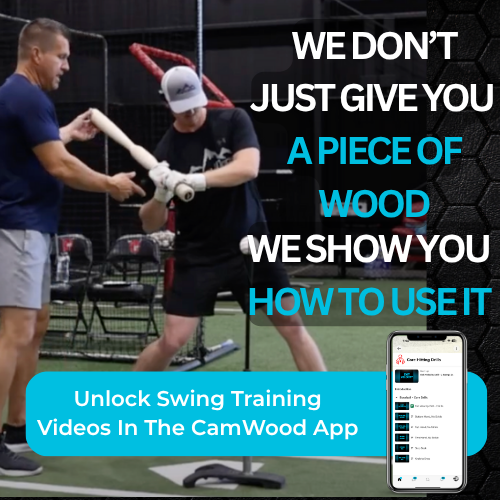 Baseball Hands & Speed Trainer