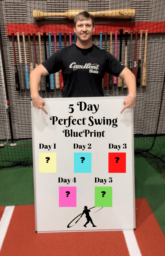 CamWood Bats