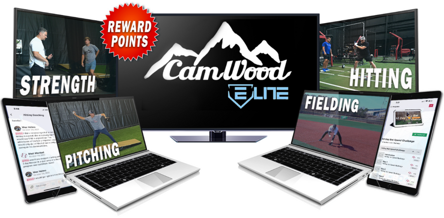 Baseball CamWood Elite Membership - 12 Month