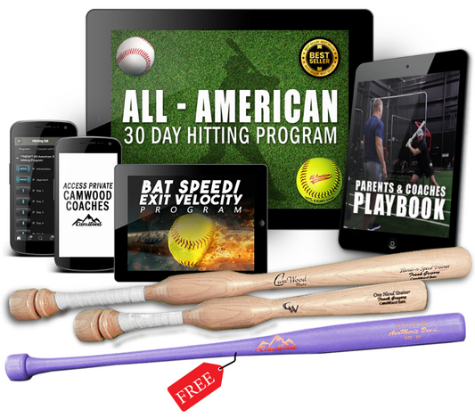 Softball All-American 30 Day Hitting Package + FREE Custom AMB Bat
