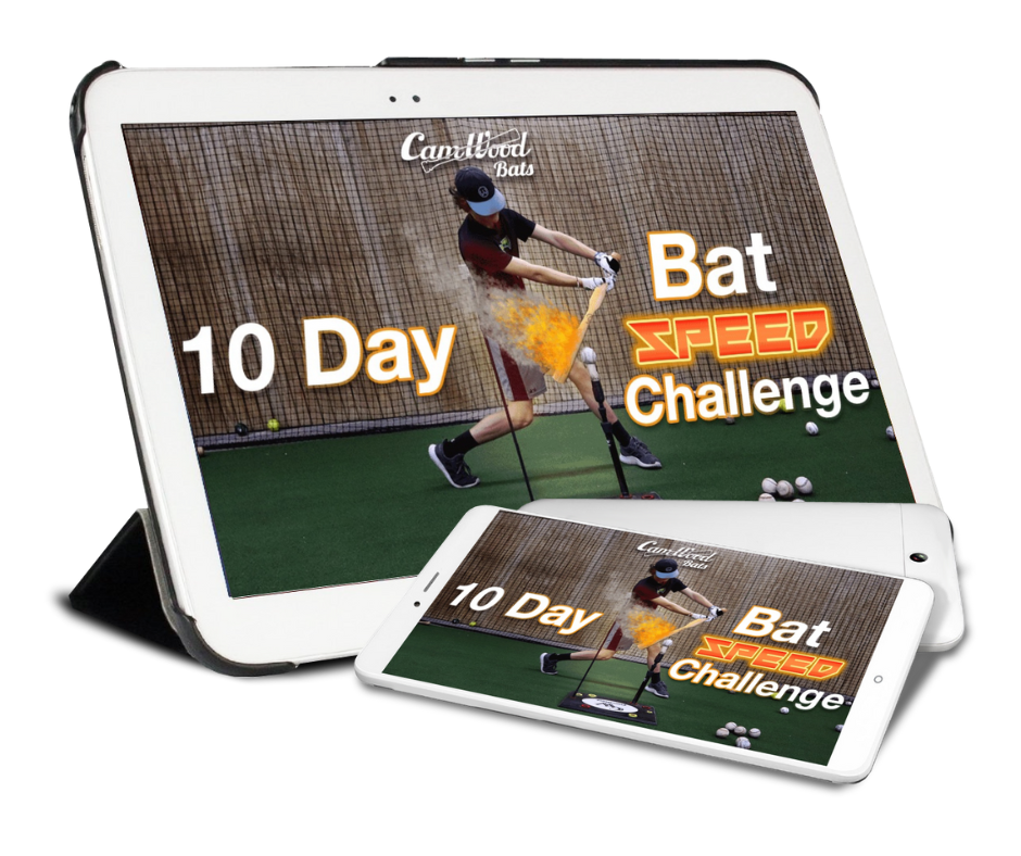 10 Day Bat Speed Challenge